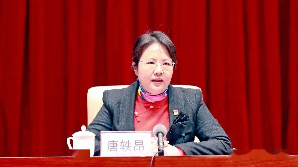 唐軼昂任防城港市委副書記、市長候選人，班忠柏任廣西民宗委主任（唐軼昂|班忠柏簡歷）