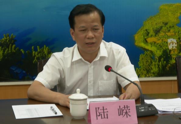 陸嶸簡(jiǎn)歷：河池市政府秘書長(zhǎng)陸嶸，曾任河池市人大秘書長(zhǎng)，鳳山縣委副書記、縣長(zhǎng)